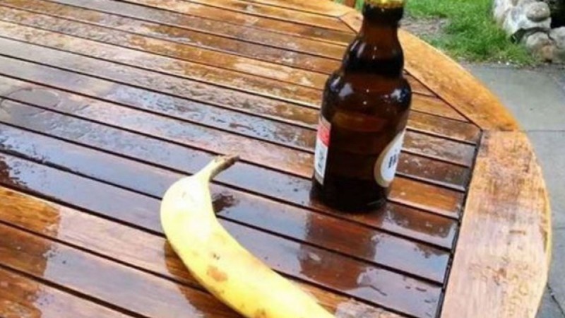 Ξεχάστε τα ανοιχτήρια: Το κόλπο με τη μπανάνα για να ανοίξετε ένα μπουκάλι μπύρας