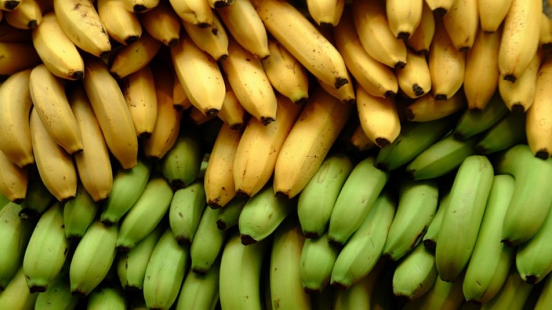 μπανανεσ-διαθεση