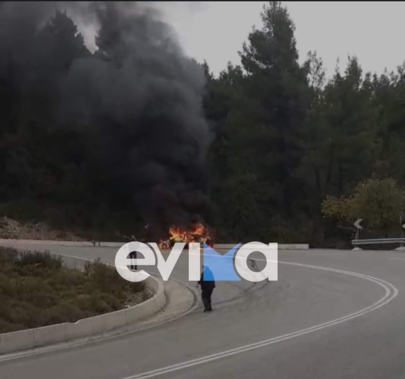  Εύβοια: Ανεξέλεγκτη φωτιά σε ΙΧ επεκτάθηκε σε δάσος