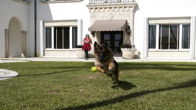 Ο πλουσιότερος σκύλος πουλά την πολυτελή έπαυλή