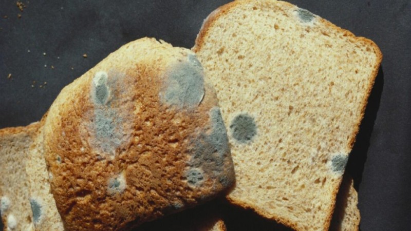 Σου μουχλιάζει το ψωμί στην ψωμιέρα; Δες τι πρέπει να κάνεις