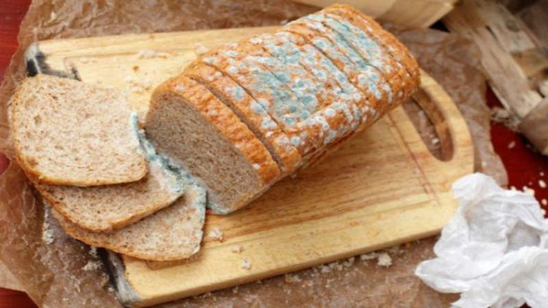 Το κόλπο για να μην μουχλιάσει το ψωμί στην ψωμιέρα