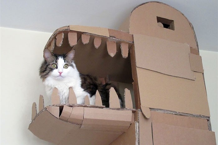 Δεν άντεχε να βλέπει τη γάτα του να βαριέται και της έφτιαξε έναν τεράστιο πύργο από χαρτόκουτα. Δείτε το εκπληκτικό αποτέλεσμα!
