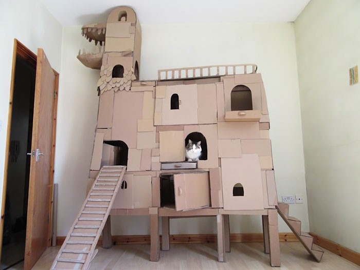 Δεν άντεχε να βλέπει τη γάτα του να βαριέται και της έφτιαξε έναν τεράστιο πύργο από χαρτόκουτα. Δείτε το εκπληκτικό αποτέλεσμα!