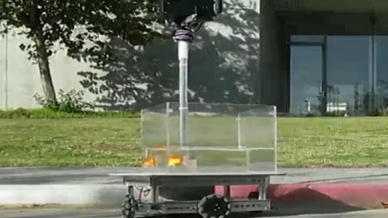 Τεχνολογικό θαύμα: Έμαθαν σε χρυσόψαρα να οδηγούν οχήματα-ρομπότ! (photos-video)