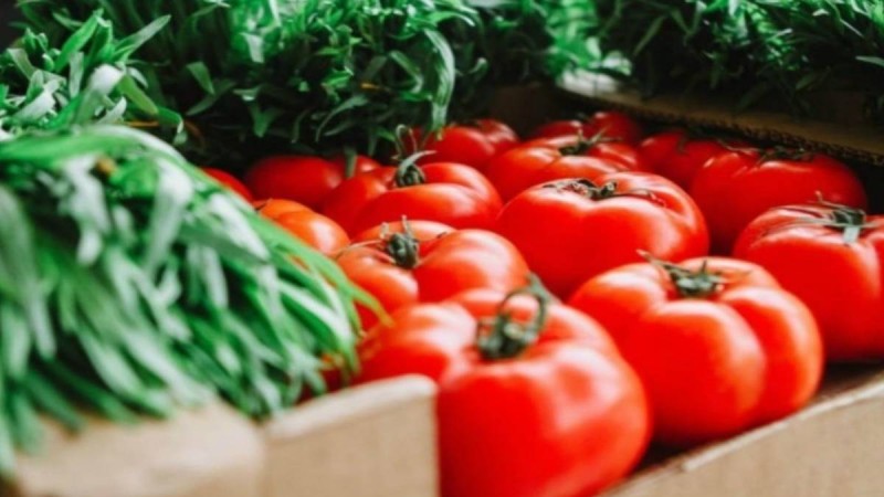 Ντομάτες κίνδυνος - Περιέχουν δηλητήριο και τις τρώμε καθημερινά