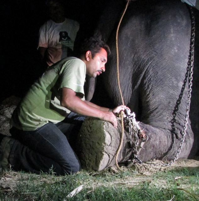 Συγκινητικό: Αυτός ο ελέφαντας ξεσπάει σε κλάματα, όταν μετά από 50 χρόνια...