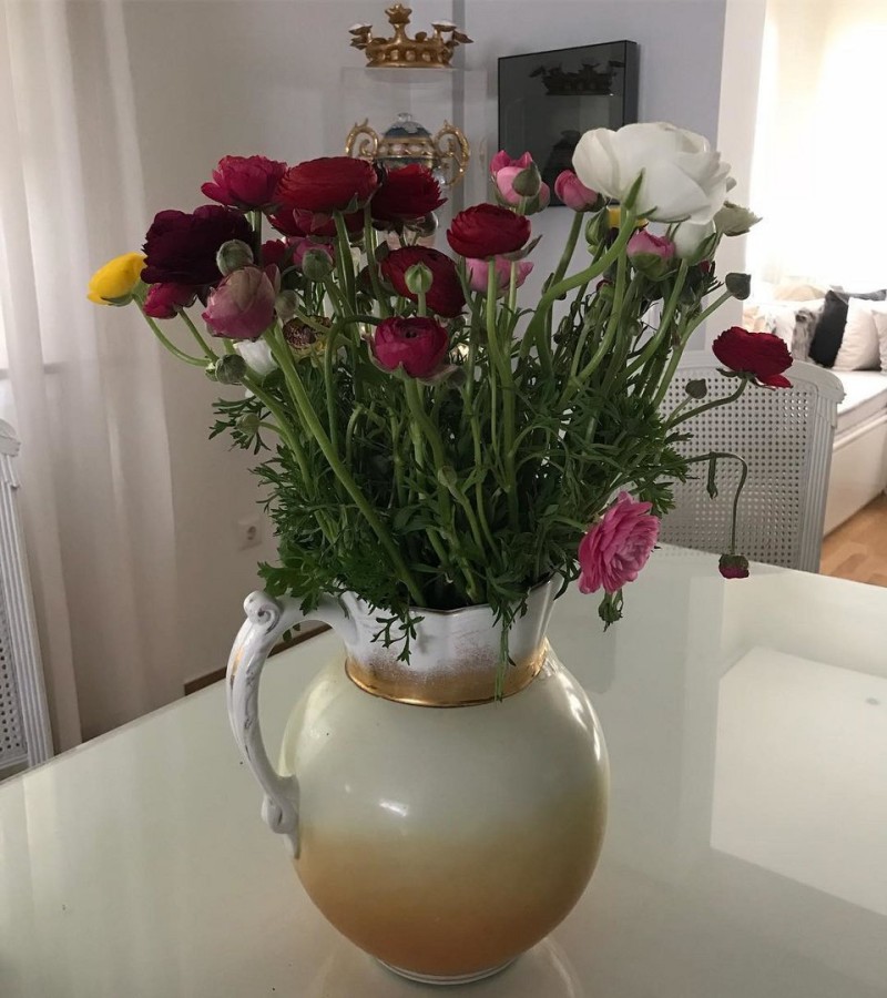 Γαρμπή – Σχοινάς σπίτι λουλούδια