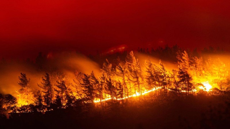 Πυρκαγιές - Σοκ με τα στοιχεία του Meteo: Μέσα στο 2021 κάηκαν τόσα στρέμματα όσα ολόκληρη την περασμένη οκταετία!