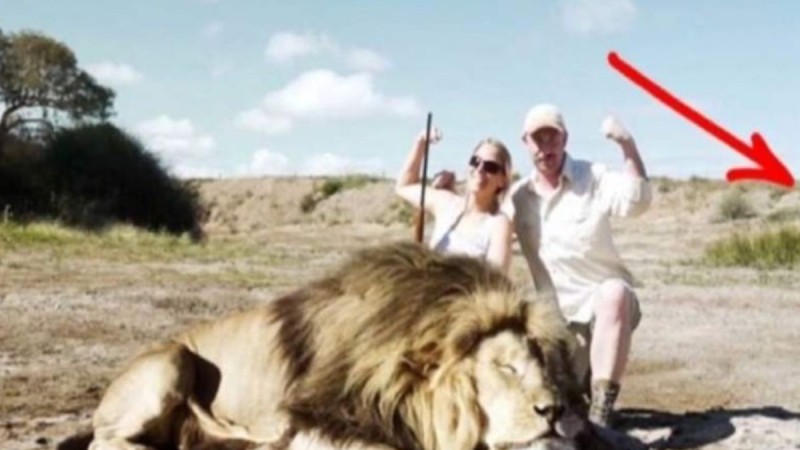 Κυνηγοί σκότωσαν ένα λιοντάρι - Όταν πήγαν να το βγάλουν φωτογραφία, δεν είχαν ιδέα τι τους περίμενε…