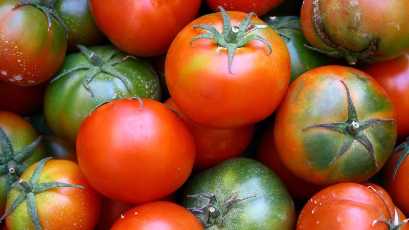 Προσοχή με τις μεταλλαγμένες ντομάτες -  Ο τρόπος για να τις ξεχωρίσετε
