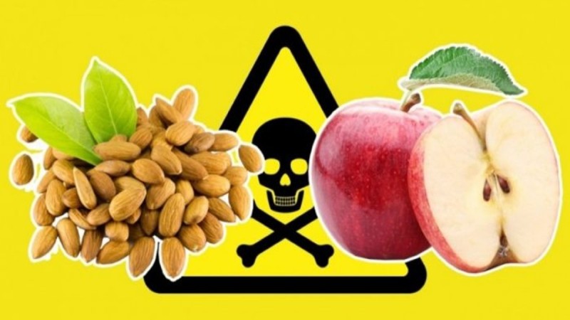 Μεγάλος κίνδυνος: 11 συνηθισμένα τρόφιμα που αν καταναλωθούν σε μεγάλες ποσότητες είναι σκέτο δηλητήριο!