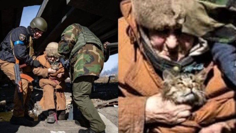 Πόλεμος στην Ουκρανία: Μάθημα ανθρωπιάς από ηλικιωμένη που προσπαθεί να σώσει γατάκι στην βομβαρδισμένη πόλη Ιρπίν