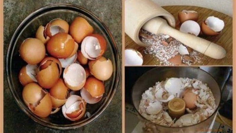 Δε θα τα ξαναπετάξετε ποτέ: 6 φανταστικές φυσικές θεραπείες με τσόφλια αυγού!