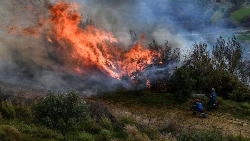 Φωτιά στη Λακωνία: Μαίνεται το πύρινο μέτωπο - Επιχειρούν 99 πυροσβέστες