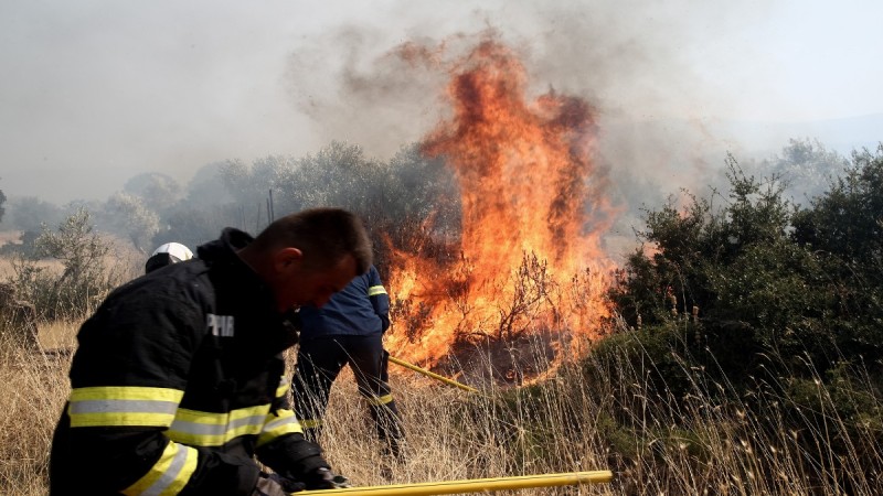 Συναγερμός στην πυροσβεστική: Πυρκαγιά σε δασική έκταση στο Λεόντιο της Νεμέας - Σηκώθηκαν και Canadair