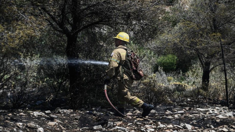 Ξεκίνησαν μαζικά οι φωτιές στη χώρα: Μεγάλη πυρκαγιά ξέσπασε και στο Κάστρο Βοιωτίας