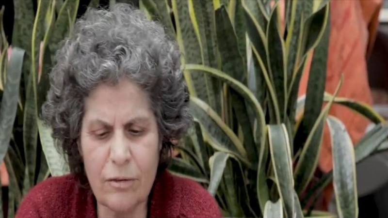 Ανατριχιαστικές αποκαλύψεις από τη Μαργαρίτα Θεοδωράκη για τον Μίκη: «Τους τελευταίους μήνες παρακαλούσε να πεθάνει!» (Video)
