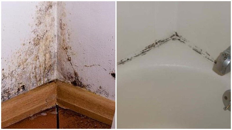 Μούχλα στο μπάνιο: Τα απίθανα υλικά που την εξαφανίζουν και δεν το περιμένατε