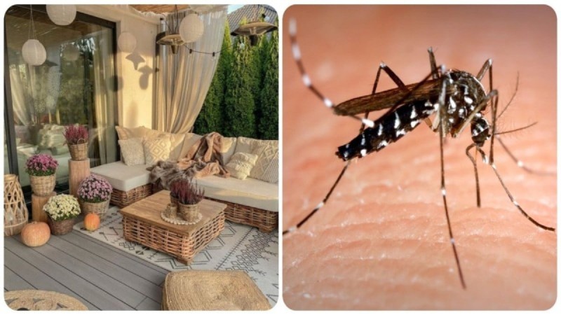Μπαλκόνι και κουνούπια σημαίνει... καλοκαίρι: Τι να κάνετε για να διώξετε τους ενοχλητικούς «επισκέπτες»