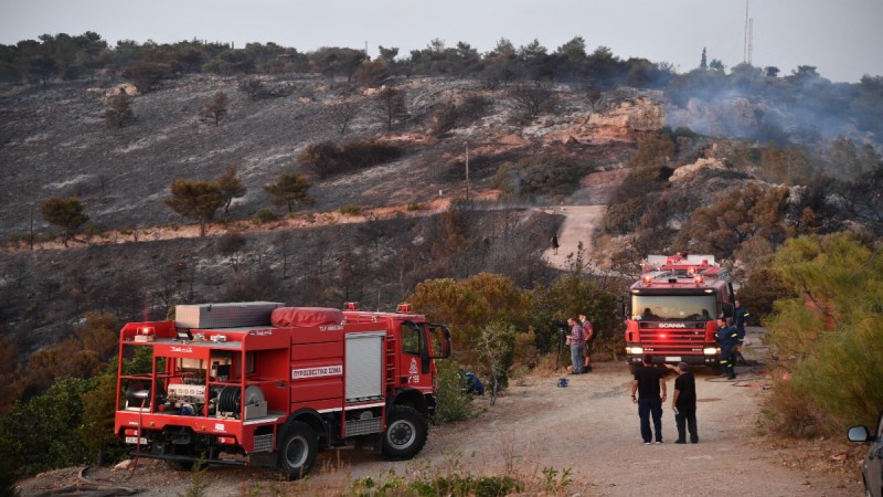 Δάση γίνονται στάχτη για ακόμη ένα καλοκαίρι: Πύρινα μέτωπα σε Φωκίδα, Φθιώτιδα, Χαλκιδική – Μεγάλη κινητοποίηση επίγειων και εναέριων Μέσων (video)