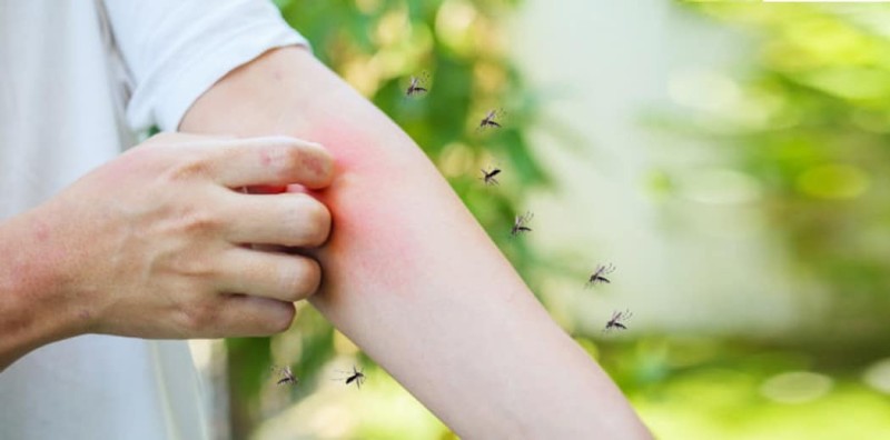 Αυτές τις ώρες «χτυπάνε» τα κουνούπια ανα περιοχή: 10 τρόποι για να προφυλαχτείς!