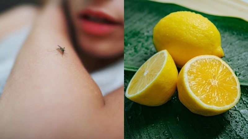 Πείτε «αντίο» στα ενοχλητικά κουνούπια με τη βοήθεια του θαυματουργού λεμονιού!