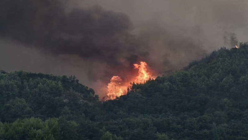 Φωτιά στη Λίμνη Δασίου - Άμεση κινητοποίηση της Πυροσβεστικής