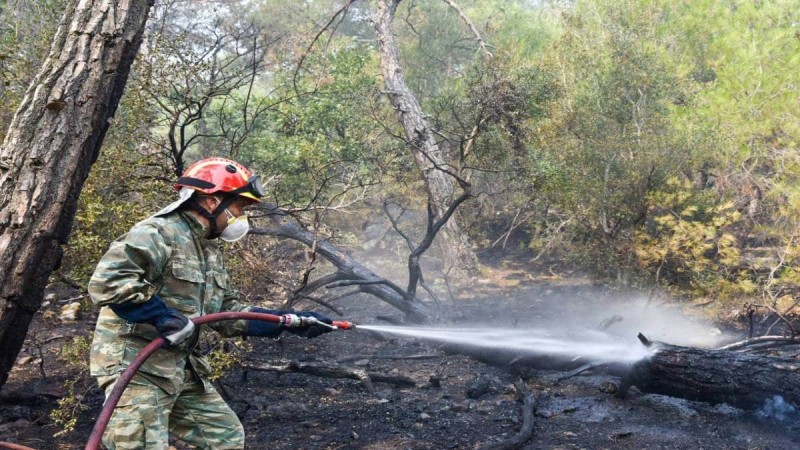 Φωτιά στον Έβρο: Μάχη για να σωθεί το δάσος της Δαδιάς – Πολλά τα πύρινα μέτωπα