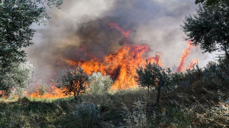 Συναγερμός στην Κορινθία - Φωτιά στο Κατακάλι