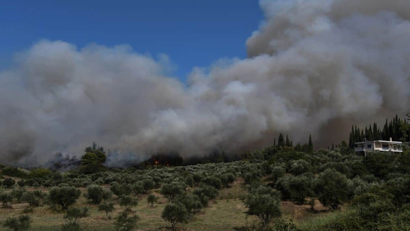 Συναγερμός για φωτιά στη Φθιώτιδα