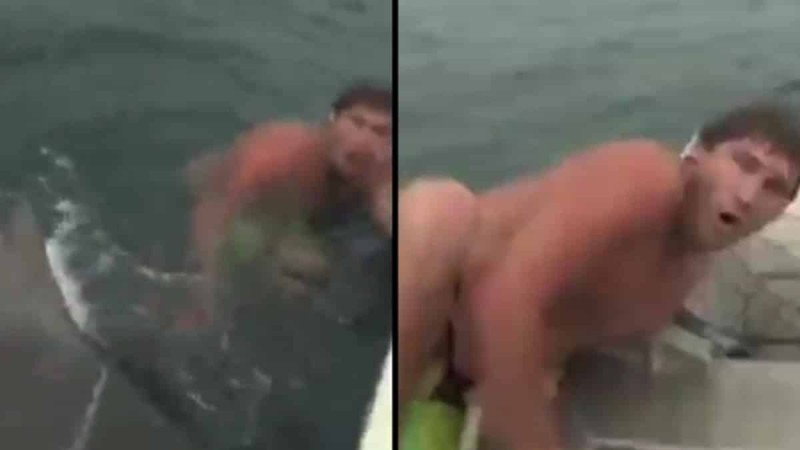 Τυχερός στην ατυχία του: Ανέβηκε στο φουσκωτό και γλίτωσε την τελευταία στιγμή από επίθεση καρχαρία (Video)
