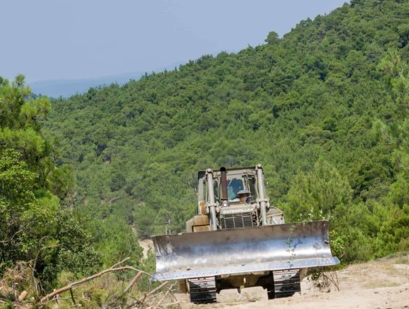 Η πύρινη λαίλαπα σαρώνει το δάσος της Δαδιάς: Συγκλονιστικές εικόνες από τα ελικόπτερα του Στρατού