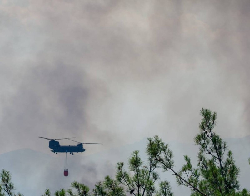 Φωτιά στον Έβρο: Μάχη για να σωθεί το δάσος της Δαδιάς – Πολλά τα πύρινα μέτωπα