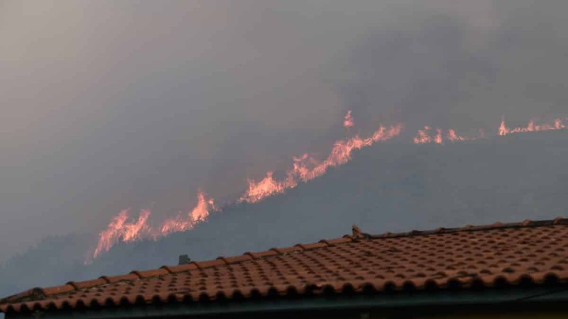 Σε συναγερμό η Πυροσβεστική: Πυρκαγιά ξέσπασε στην Ηλεία - Καίει δάσος