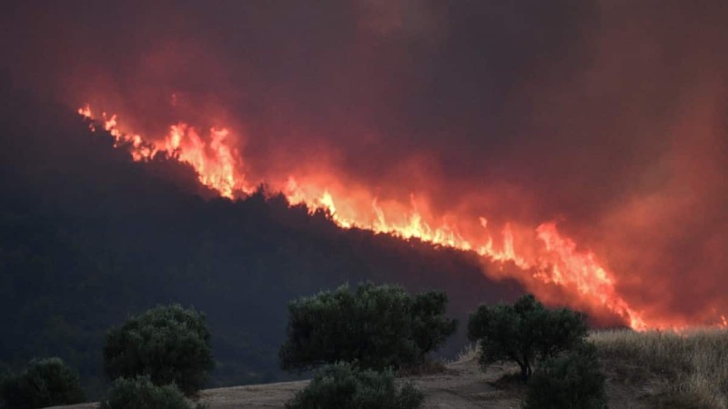 Φωτιά: Σε πύρινο κλοιό όλη η χώρα - Πώς διαμορφώνονται τα μέτωπα σε Έβρο, Μυτιλήνη και Ηλεία