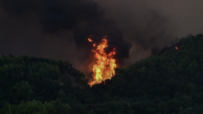 Νέος συναγερμός στην Πυροσβεστική: Φωτιά στα Κρέστενα!