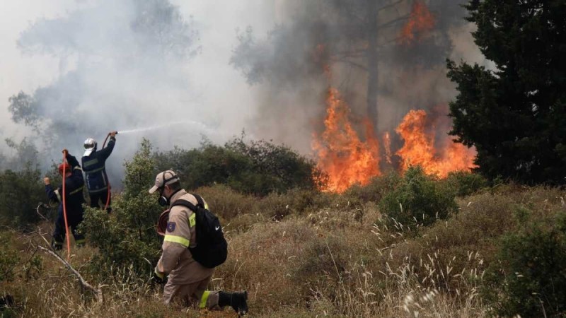 Θεσσαλονίκη: Άτομο που καλλιεργούσε χασίς στο δάσος αναζητείται ως ύποπτο για τη φωτιά στο Σέιχ Σου (Video)