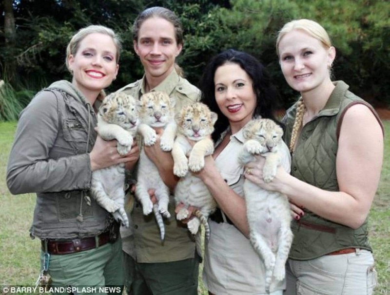 Ραγίζει καρδιές: Ένα άσπρο λιοντάρι και μια άσπρη τίγρης έκαναν μωρά. Το αποτέλεσμα; Εκπληκτικό! (Photos)