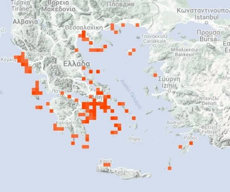 Μωβ μέδουσες: Τεράστια ανατροπή με τις συγκεντρώσεις στις ελληνικές θάλασσες