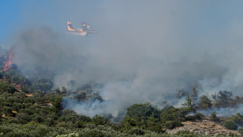 Πύρινα μέτωπα στην Ελλάδα: Πυρκαγιά σε δασική έκταση στο Παγγαίο Καβάλας & στην περιοχή Λάβαρα Σουφλίου (photo)