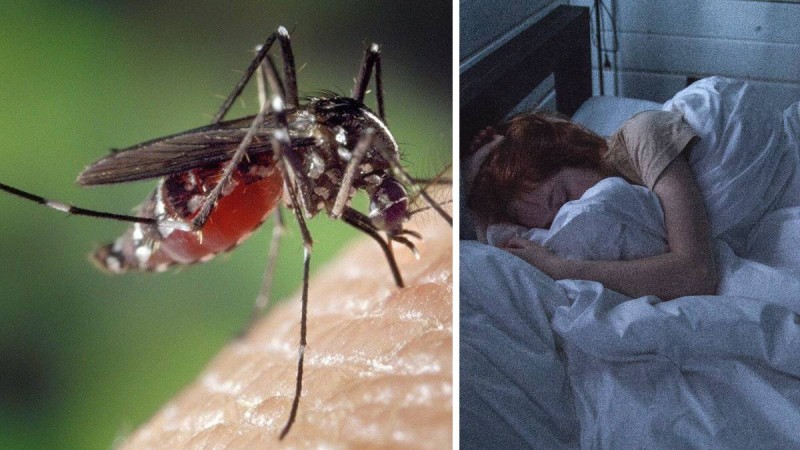 Για να μην βουίζουν στα αυτιά σας: Οι τρεις τροφές που πρέπει να σταματήσετε να τρώτε για να μην σας τσιμπάνε τα κουνούπια