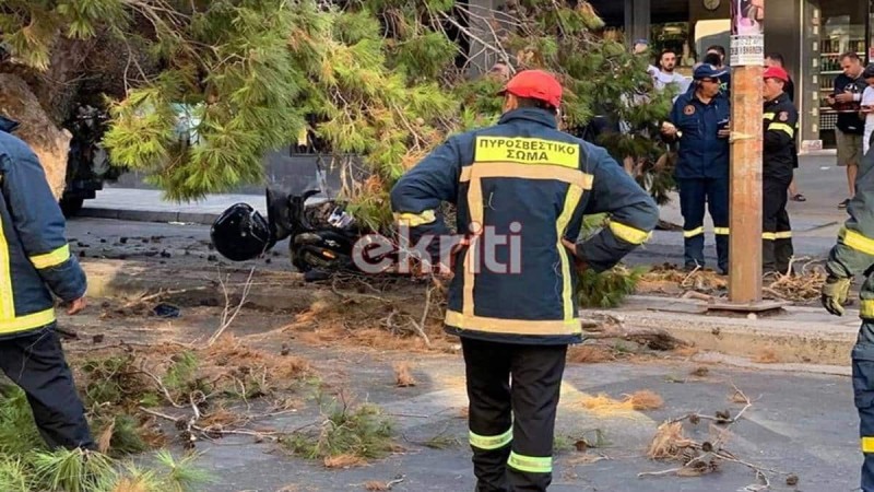 Τραγωδία στην Κρήτη: «Θα κινηθούμε νομικά» λέει ο γιος του 50χρονου που καταπλακώθηκε από δέντρο - Παρέμβαση εισαγγελέα