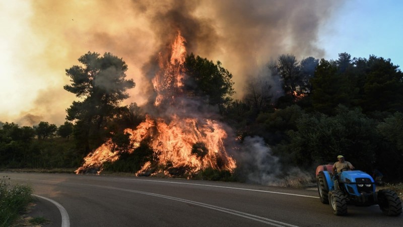 Συναγερμός στον Ασπρόπυργο: Μεγάλο πύρινο μέτωπο στην Αττική - Στο σημείο ισχυρές δυνάμεις της Πυροσβεστικής