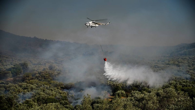 Φωτιά κοντά σε σπίτια στην Χαλκιδική – Με κλαδιά προσπαθούσαν να τη σβήσουν οι κάτοικοι (videos)