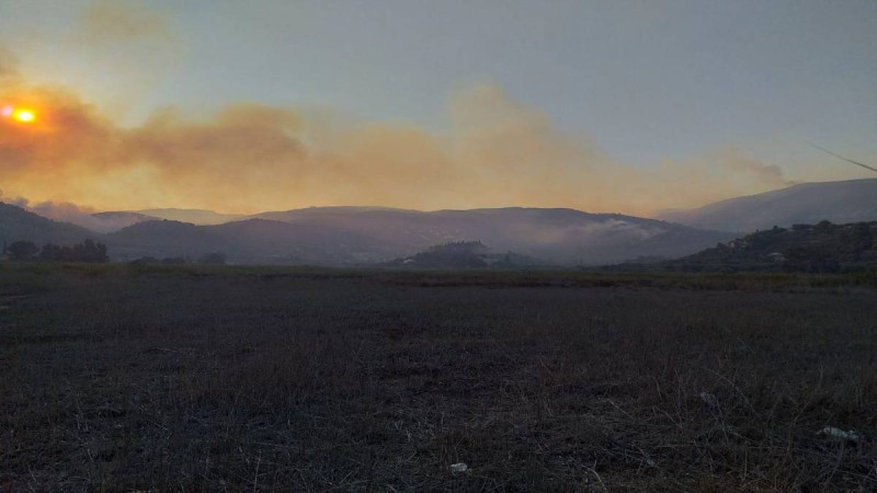 Φωτιά στη Ζάκυνθο – Καίει πεύκα