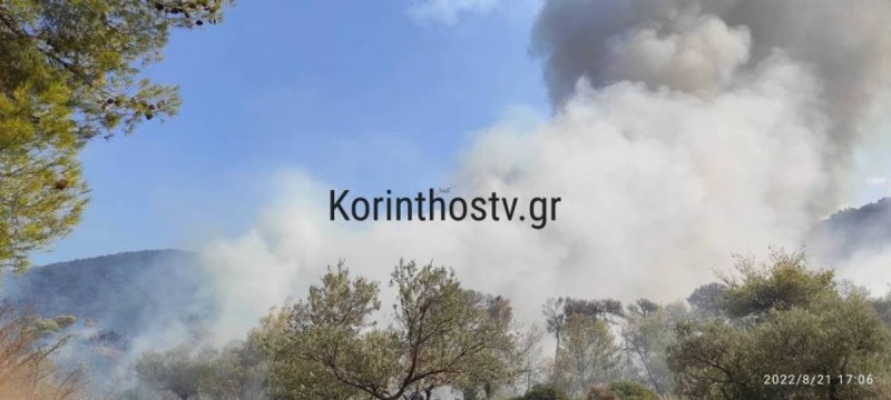 Πύρινα μέτωπα στην Ελλάδα: Σε ύφεση η φωτιά στην Κέρκυρα - Καλύτερη η εικόνα σε Κορινθία και Αμαλιάδα (φωτο)