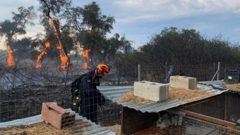 Σε πύρινο κλοιό η Κέρκυρα: Μεγάλη φωτιά στη Λευκίμμη και άμεση κινητοποίηση πυροσβεστικών δυνάμεων