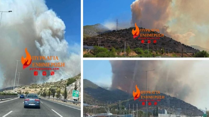 Φωτιά κοντά στα διόδια της Ελευσίνας:  Προληπτική εκκένωση της Άνω Βλυχάδας! Έκλεισε η Αθηνών-Κορίνθου (photo-video)