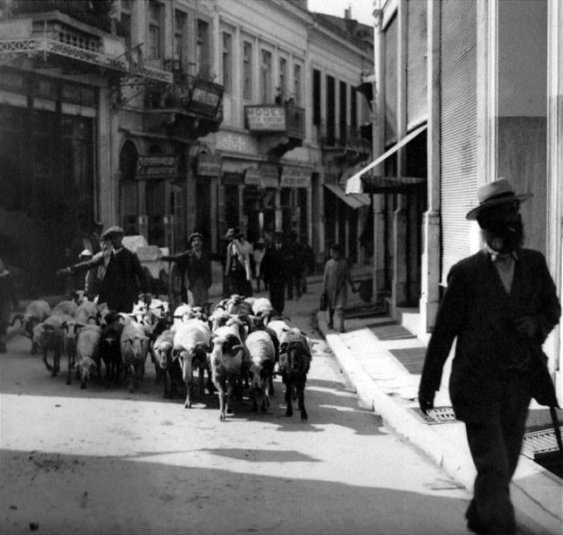 Εικόνες από το παρελθόν: Όταν η Αθήνα είχε γίδια και κατσίκια